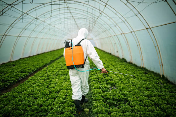 Best Affordable Pest Control Services  in Heber, CA