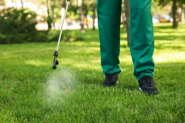 Best Wildlife Control Services  in Heber, CA