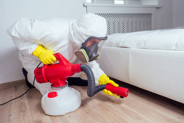 Flea Control Services in Heber, CA