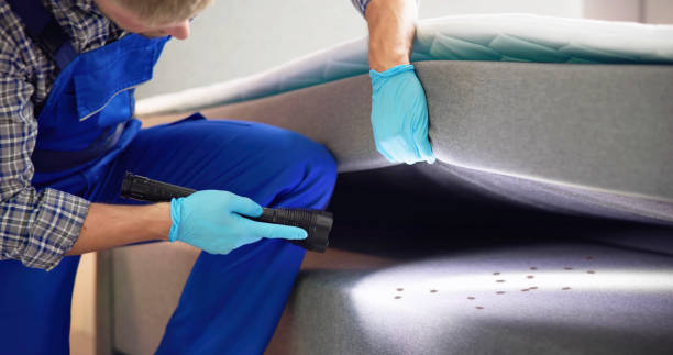 Best Best Pest Control Companies  in Heber, CA