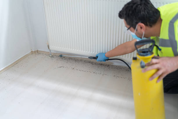 Best Ant Control Services  in Heber, CA
