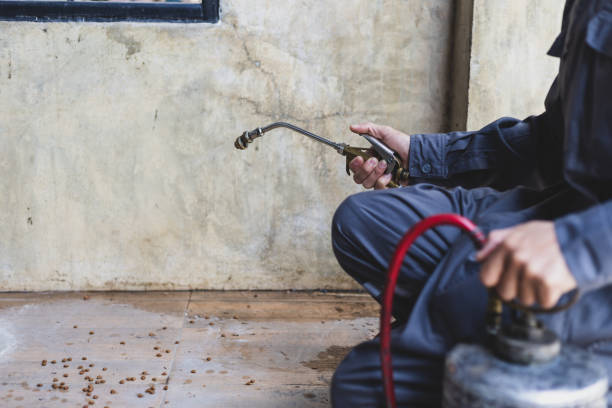 Professional Pest Control in Heber, CA